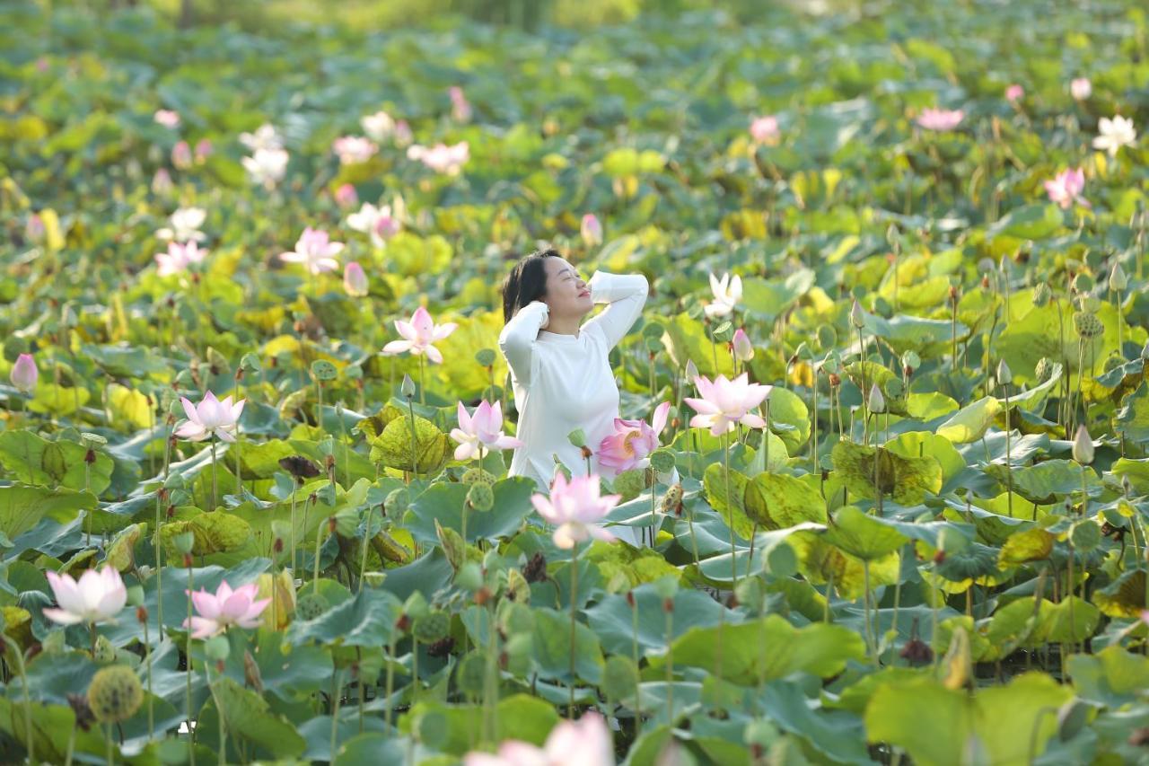 Lotus Hotel Ninh Binh Eksteriør bilde