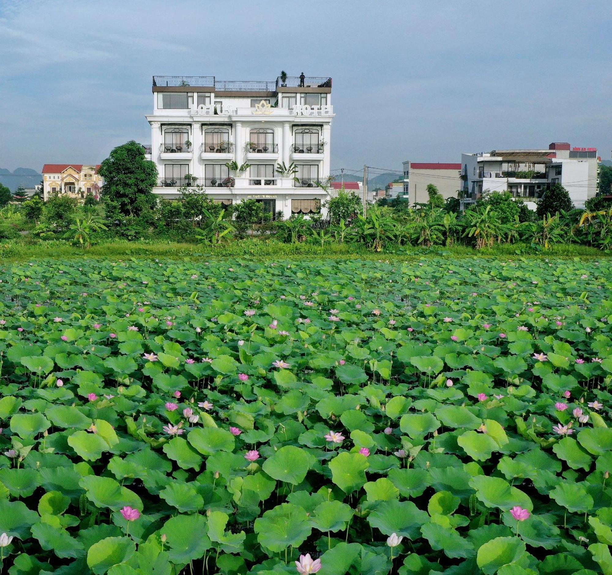 Lotus Hotel Ninh Binh Eksteriør bilde